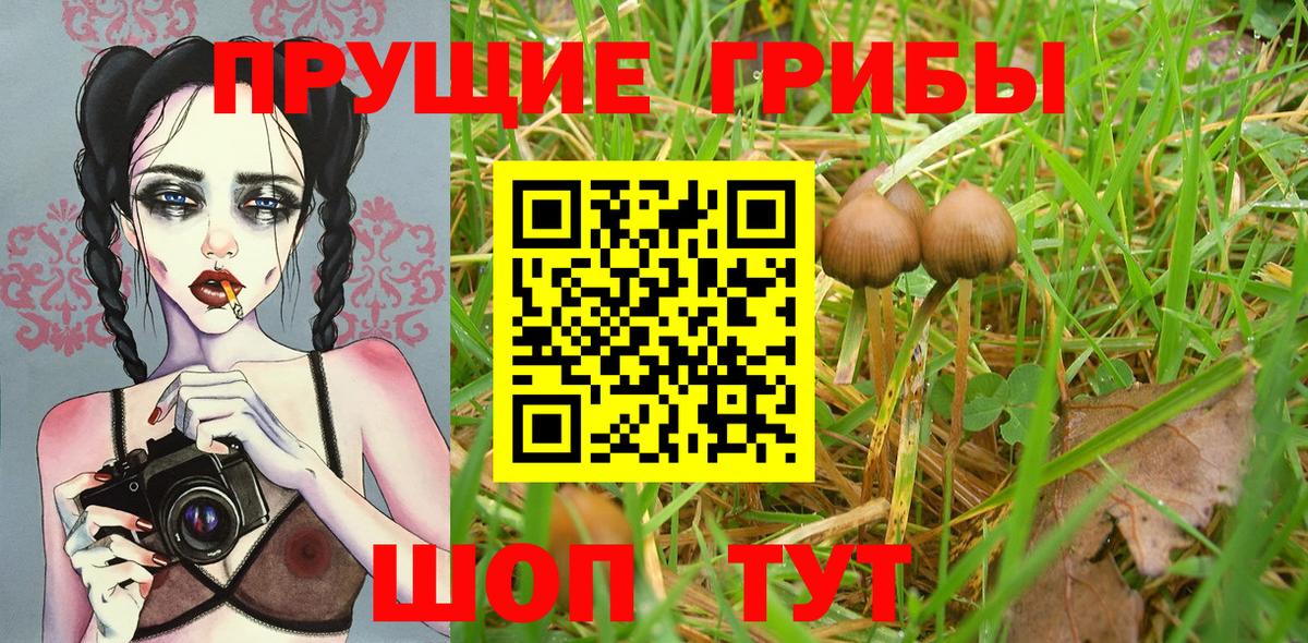 Галлюциногенные грибы GOLDEN TEACHER Полевской